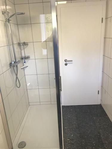 een badkamer met een douche en een glazen deur bij Wohnung in Dortmund Nähe Phönix See in Dortmund