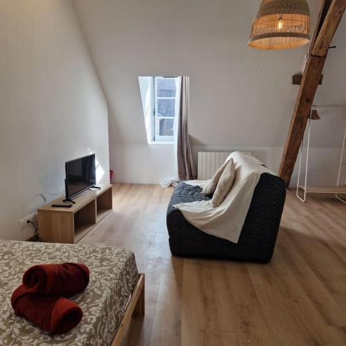 een kamer met een bed en een televisie en een bed. bij Joli studio - proche de Chambord in Mer