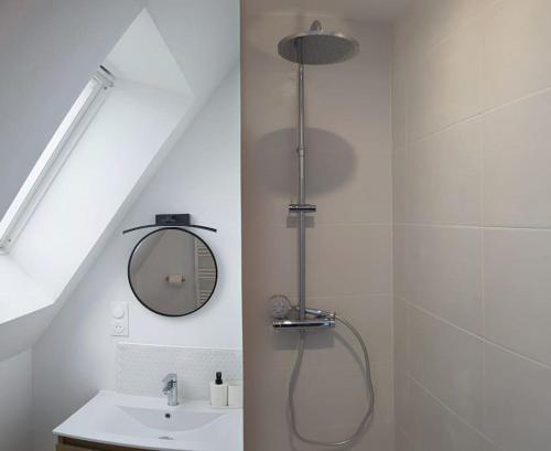 une salle de bain avec douche et lavabo dans l'établissement Joli studio - proche de Chambord, à Mer