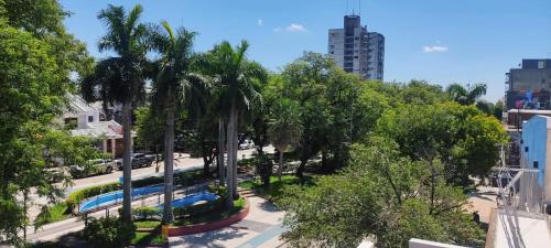 een park met palmbomen en een zwembad bij La Plaza in Formosa