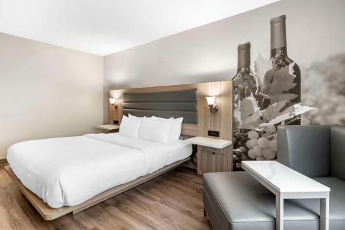 Habitación de hotel con cama y silla en Best Western Plus Vineyard Inn, en Livermore