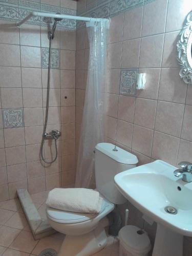 a bathroom with a shower and a toilet and a sink at Mirto Luxury Appartment in Heraklio Town