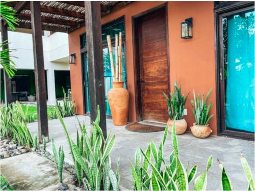 a group of plants sitting outside of a house at El Sitio Village in Playa Venao