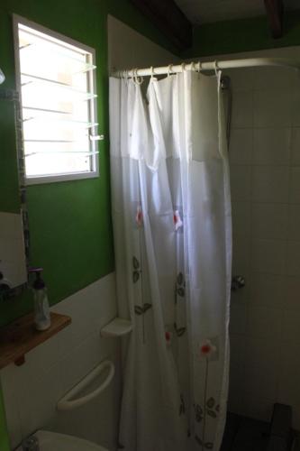 a bathroom with a white shower curtain and a toilet at la colorida 2 in Lago Puelo