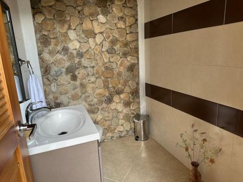 baño con lavabo y pared de piedra en Casa Chalet en Lagos del Cacique en Bucaramanga