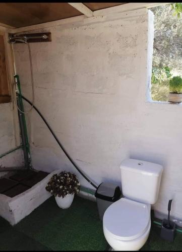 a bathroom with a toilet in a room at Queens Luxury Glamping in Palaiokastro