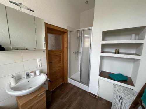 a bathroom with a sink and a shower at Ferienwohnung zur Silbertanne in Ilsenburg
