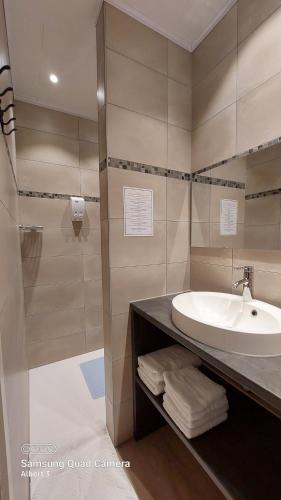ein Bad mit einem Waschbecken und einer Dusche in der Unterkunft Albert - Rooms in Mechelen