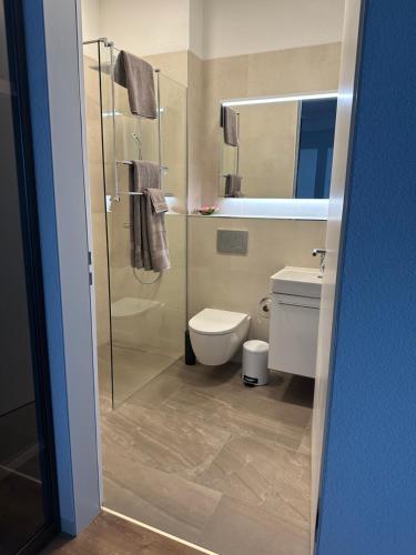 a bathroom with a shower and a toilet and a sink at Grosse Einzimmerwohnung/Büro/Showroom in Seengen