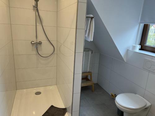 ein Bad mit einer Dusche und einem WC in der Unterkunft Torster Ferienwohnung #8 in Hameln
