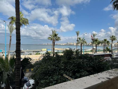 een uitzicht op een strand met palmbomen en de oceaan bij Alexandria private rooms at Shared apartment, Only Men Guests 仅限男士 in Alexandrië