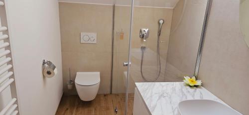 a bathroom with a shower and a toilet and a sink at AppPrusnik in Ljubljana