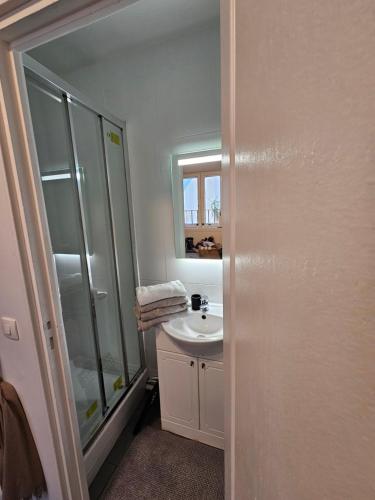 La salle de bains est pourvue d'un lavabo, d'une douche et d'un miroir. dans l'établissement studio 11 Garcia stade de France, à Saint-Denis