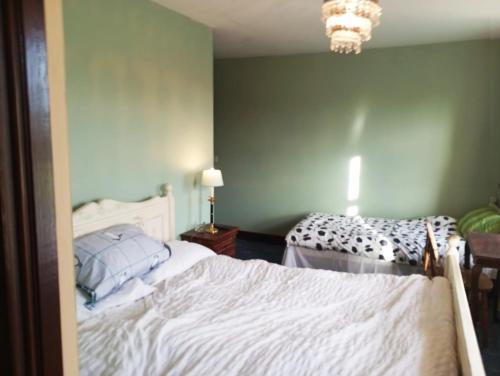 a bedroom with two beds and a chandelier at Hardwood Hall or Kiltubber House in Kinnegad