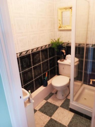 a bathroom with a toilet and a shower and a sink at Hardwood Hall or Kiltubber House in Kinnegad