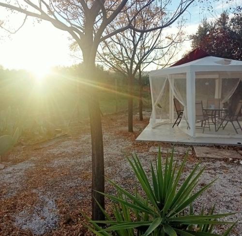 un gazebo bianco con tavolo da picnic in un cortile di Casa independiente, a tres km de Moratalla a Moratalla