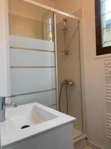 ein Bad mit einem Waschbecken und einer Dusche in der Unterkunft Appartement Saint-Denis Stade de France in Saint-Denis