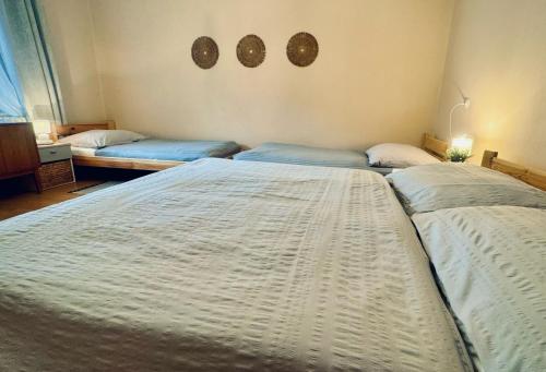 two twin beds in a bedroom with two bedsskirts at Apartmán vo vidieckom dome in Malá Tŕňa