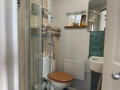 a bathroom with a toilet and a glass shower at Little House Felixstowe in Felixstowe