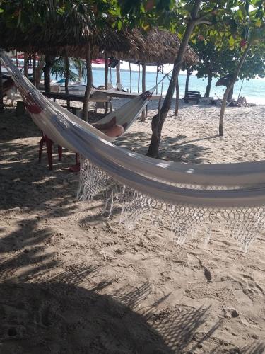 a hammock on a beach with the ocean at Canadian House Rincón del Mar in Rincón