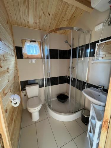 a bathroom with a shower and a toilet and a sink at Bałtyckie Klimaty in Gąski