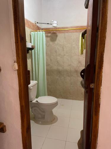 baño con aseo y cortina de ducha verde en Hostería Doña Vivi, en Barichara