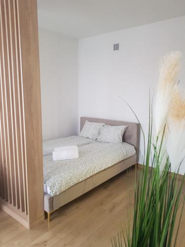 a small bed in a room with a plant at Apartament Centrum Nowa Dęba in Nowa Dęba