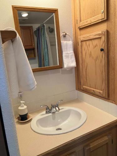 a bathroom counter with a sink and a mirror at Oceanfront Cabin 4 With Jacuzzi & Stunning Views in Smith River