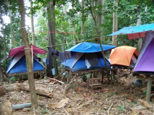un grupo de tiendas en medio de un bosque en Putu Ubud Glamping Camping, en Bedahulu