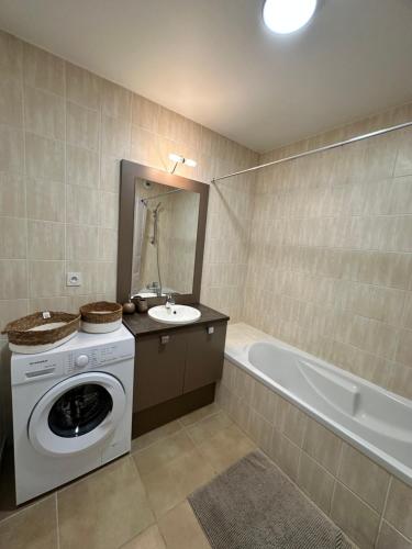 安錫的住宿－Annecy gare，浴室配有洗衣机和浴缸。