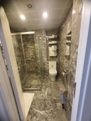 a bathroom with a shower and a toilet at Fatih Appartement Etage 2 in Istanbul