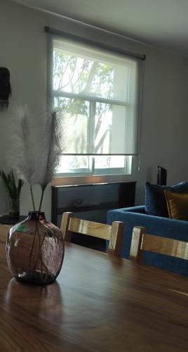 a vase with a plant on a table in a living room at "Loft Naranjos, live the unique" in Oaxaca City