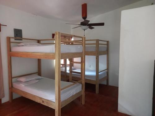 a group of bunk beds in a room with a ceiling fan at TOnat Caribe Hostel in West End