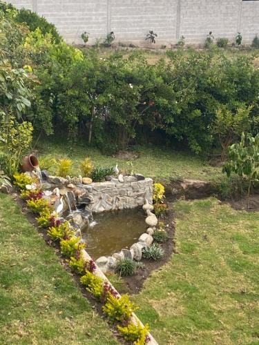 基多的住宿－La Chelita，庭院中间带池塘的花园