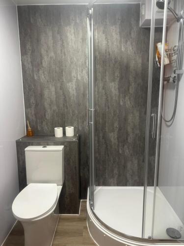 uma casa de banho com um WC e um chuveiro em Private Main Door Lovely 2 bedroom apartment em Edimburgo