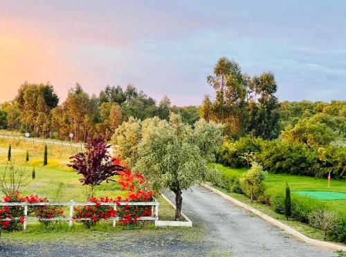 a tree on the side of a road with flowers at Herdade de Santa Maria in Almeirim