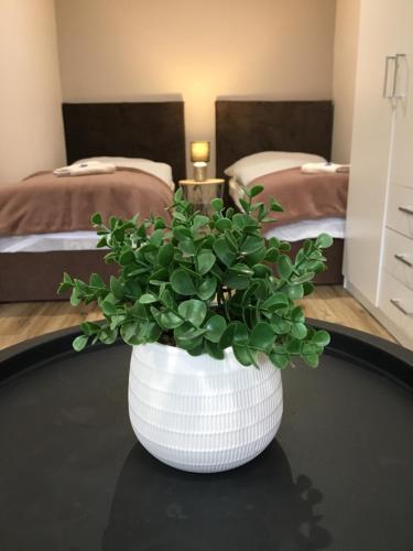 a white vase with a plant on a table in a room at Tokajský domček in Malá Tŕňa