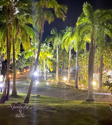 Zahrada ubytování Accès direct Plage et Piscine, Vue Mer et Cocotiers, Les Gwada Studios, Village Vacances Ste Anne