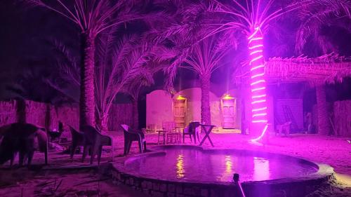 una habitación con palmeras y una piscina con flamencos en Mezorin Camp, en Siwa