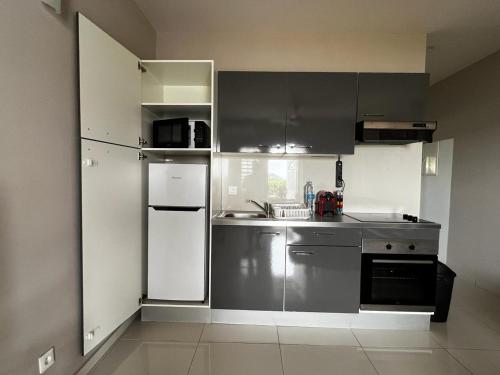 a kitchen with stainless steel appliances and gray cabinets at The little Heaven in Baie Nettle