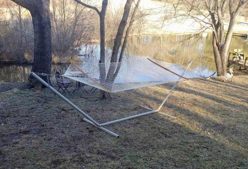 a net sitting on the ground next to a tree at Waterfront Cabin 20 Mins to National Park & Massanutten! in Stanardsville