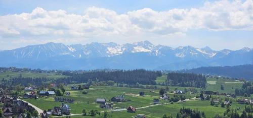 a town in a field with mountains in the background at Mountain View Chalet with HotTub and Sauna in Czerwienne