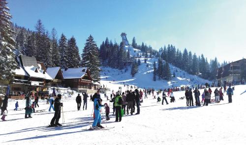 a large group of people standing on a ski slope at Vikendica A Vlasic in Vlasic