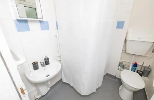 a white bathroom with a toilet and a sink at Local luxury apartments in London