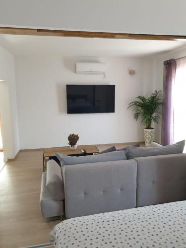 Apartments by the sea Omis - 21590