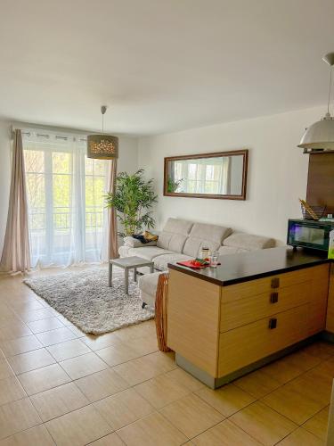 uma sala de estar com um sofá e uma mesa em Très jolie F2 cosy 45m2 avec balcon et parking proche Paris em Livry-Gargan