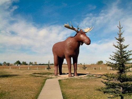 a statue of a moose standing in a field at Amazing DT Apartment w Parking Location Coffee in Moose Jaw