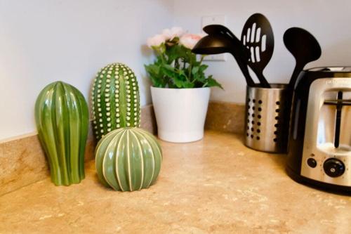 a kitchen counter with cactuses and flowers on a counter at Cozy Studio Perfect for Business Travelers Downtown in Moose Jaw