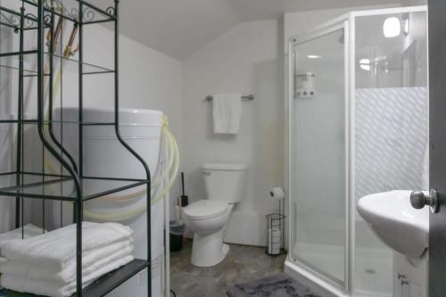 a bathroom with a toilet and a sink and a shower at Cozy Studio In the Heart Uptown Saint John! Parking Coffee in Saint John