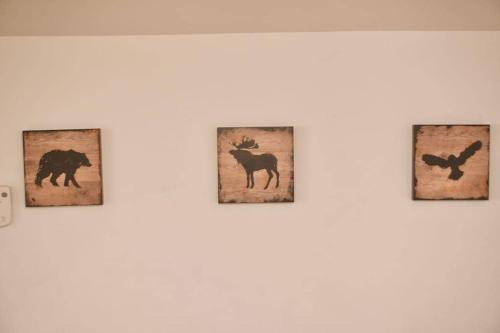 a wall with four pictures of animals on it at Cozy Studio Downtown Parking Coffee Location in Moose Jaw
